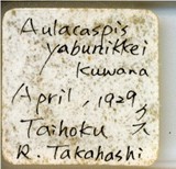 中文種名:樟輪盾介殼蟲學名:Aulacaspis yabunikkei Kuwana, 1926