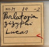 中文種名:黑片盾介殼蟲學名:Parlatoria ziziphi (Lucas, 1853)