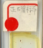 中文種名:臺雪盾介殼蟲學名:Aulacaspis formosana (Takahashi, 1934)