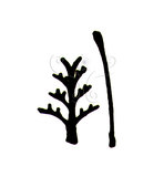 文件名稱:Aceria trifoliate Huang, 2003 羽爪