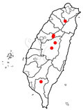 W:Onukia flavifrons Matsumura, 1912Ga