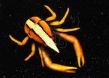 W:azarmala201100510000pp002RZAllogalathea elegans