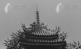 三峽清水祖師廟之21