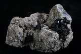 中文名:錫石(NMNS002525-P004539)英文名:Cassiterite(NMNS002525-P004539)