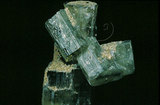 中文名:磷灰石(NMNS000273-P001691)