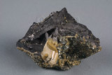 中文名:鎢鐵礦(NMNS000273-P001705)英文名:Ferberite(NMNS000273-P001705)