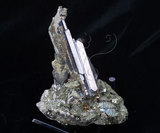 中文名:鎢鐵礦(NMNS000906-P003271)英文名:Ferberite(NMNS000906-P003271)