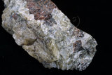 中文名:白鎢礦(NMNS000011-P000132)