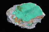 中文名:磷鋁石(NMNS000009-P000126)英文名:Variscite(NMNS000009-P000126)