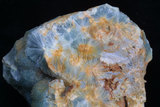 中文名:放射纖維磷鋁石(NMNS000009-P000125)英文名:Wavellite(NMNS000009-P000125)