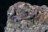 中文名:明礬石(NMNS000229-P001268)英文名:Alunite(NMNS000229-P001268)