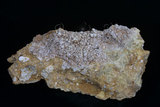 中文名:北投石(NMNS000119-P000674)英文名:Hokutolite(NMNS000119-P000674)