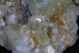 中文名:矽硼鈣石(NMNS003121-P006390)