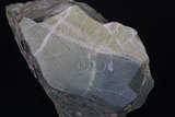 中文名:綠簾石(NMNS000694-P003013)