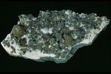 中文名:片水矽鈣石(NMNS000273-P001773)