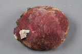 中文名:紅矽鈣錳礦(NMNS003775-P007529)