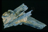 中文名:藍晶石(NMNS000906-P003278)