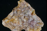 中文名:葉蠟石(NMNS000906-P003281)英文名:Pyrophyllite(NMNS000906-P003281)
