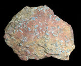 中文名:十字石(NMNS000906-P003242)英文名:Staurolite(NMNS000906-P003242)
