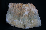 中文名:陽起石(NMNS000181-P001141)英文名:Actinolite(NMNS000181-P001141)