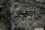 中文名:呂宋礦(NMNS000168-P000913)英文名:Luzonite(NMNS000168-P000913)