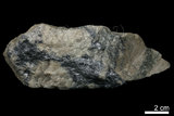 中文名:輝鉬礦(NMNS004105-P008278)英文名:Molybdenite(NMNS004105-P008278)