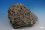 中文名:黃鐵礦(NMNS000168-P000899)英文名:Pyrite(NMNS000168-P000899)