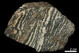 中文名:閃鋅礦(NMNS004105-P008578)英文名:Sphalerite(NMNS004105-P008578)