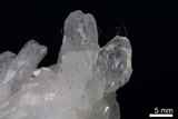中文名:霰石(NMNS000009-P000128)英文名:Aragonite(NMNS000009-P000128)