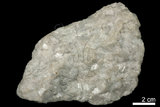 中文名:方解石(NMNS004105-P008548)英文名:Calcite(NMNS004105-P008548)