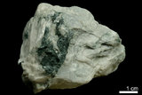 中文名:白雲石(NMNS004105-P008442)英文名:Dolomite(NMNS004105-P008442)