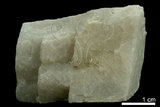 中文名:白雲石(NMNS004105-P008442)英文名:Dolomite(NMNS004105-P008442)