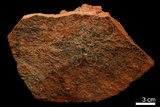 中文名:赤鐵礦(NMNS000161-P000776)英文名:Hematite(NMNS000161-P000776)