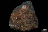 中文名:磁鐵礦(NMNS002369-P004435)英文名:Magnetite(NMNS002369-P004435)