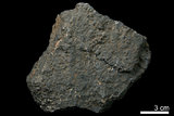 中文名:軟錳礦(NMNS004105-P008043)英文名:Pyrolusite(NMNS004105-P008043)
