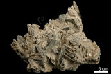 中文名:石膏(NMNS003885-P007631)英文名:Gypsum(NMNS003885-P007631)