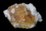 中文名:透石膏(NMNS004339-P008888)英文名:Selenite(NMNS004339-P008888)