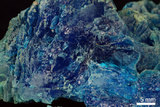 中文名:膽礬(NMNS000168-P000918)英文名:Chalcanthite(NMNS000168-P000918)