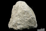中文名:高嶺石(NMNS004105-P008270)英文名:Kaolinite(NMNS004105-P008270)