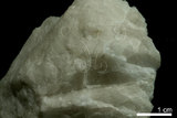 中文名:水磷鋁鋰石(NMNS0041...