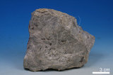 中文名:矽灰石(NMNS004105-P008154)英文名:Wollastonite(NMNS004105-P008154)