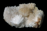 中文名:中性針沸石(NMNS004837-P011735)英文名:Mesolite(NMNS004837-P011735)