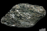 中文名:陽起石(NMNS001238-P003725)英文名:Actinolite(NMNS001238-P003725)
