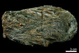 中文名:陽起石(NMNS004105-P008449)英文名:Actinolite(NMNS004105-P008449)