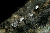 中文名:鈣鐵榴石(NMNS004105-P007980)英文名:Andradite(NMNS004105-P007980)