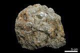 中文名:白雲母(NMNS000161-P000819)英文名:Muscovite(NMNS000161-P000819)