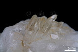 中文名:水晶(NMNS000098-P000442)英文名:Rock crystal(NMNS000098-P000442)