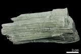 中文名:青石棉(NMNS004105-P008411)英文名:Crocidolite(NMNS004105-P008411)