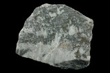 中文名:砷銅礦(NMNS000273-P001732)英文名:Mohawkite(NMNS000273-P001732)