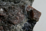 中文名:紅柱石(NMNS004105-P008563)英文名:Andalusite(NMNS004105-P008563)